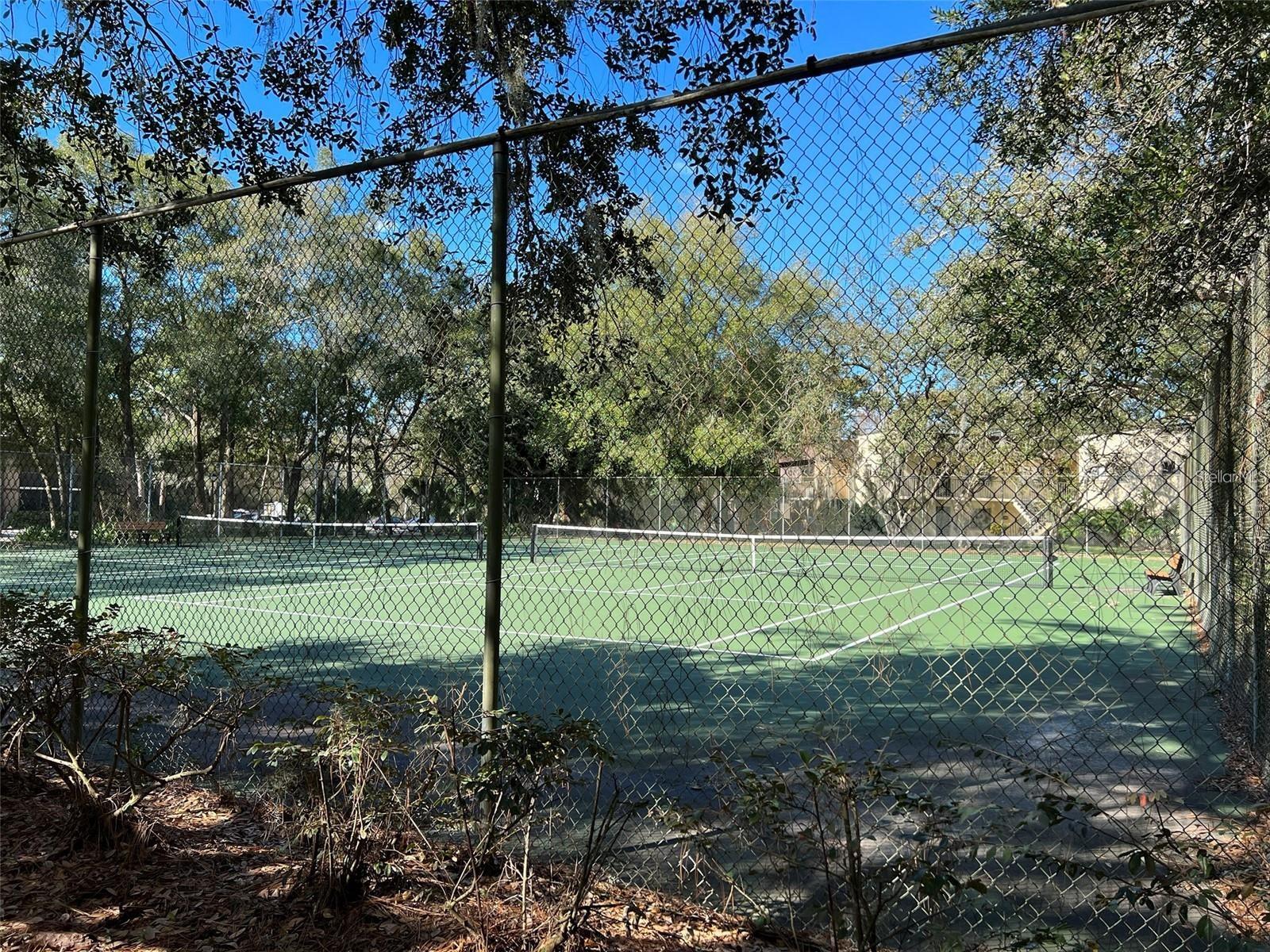11723 RAINTREE VILLAGE BLVD #D — photo 22