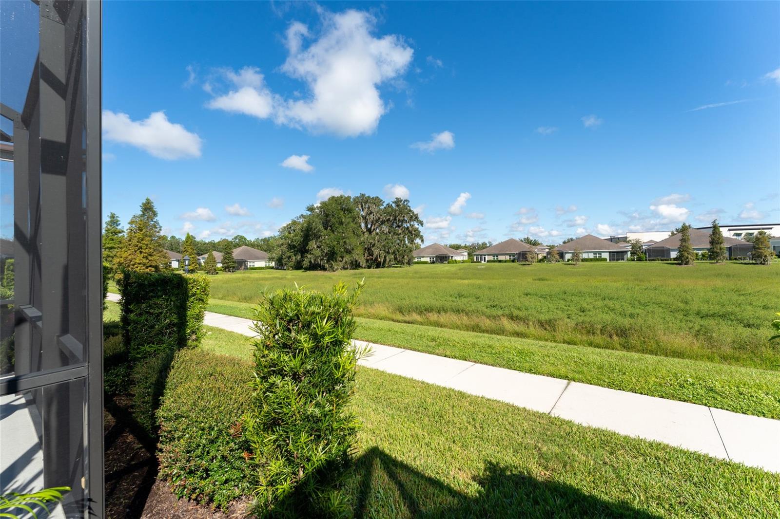 13533 CIRCA CROSSING DR — photo 33