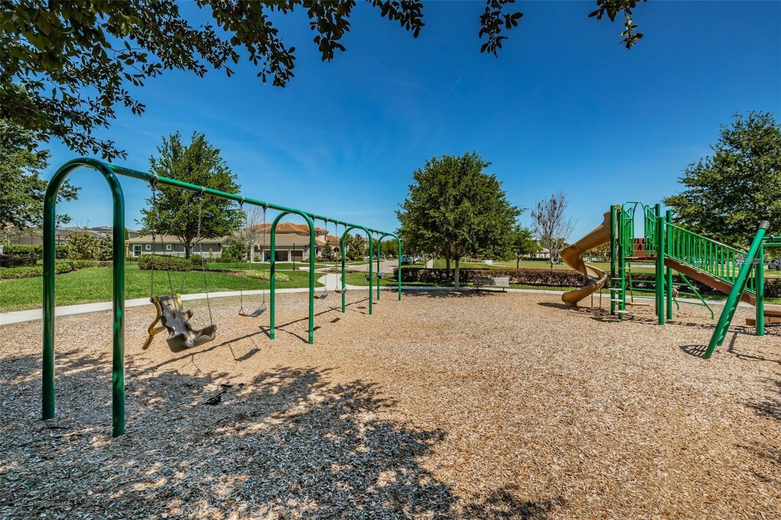 13533 CIRCA CROSSING DR — photo 42