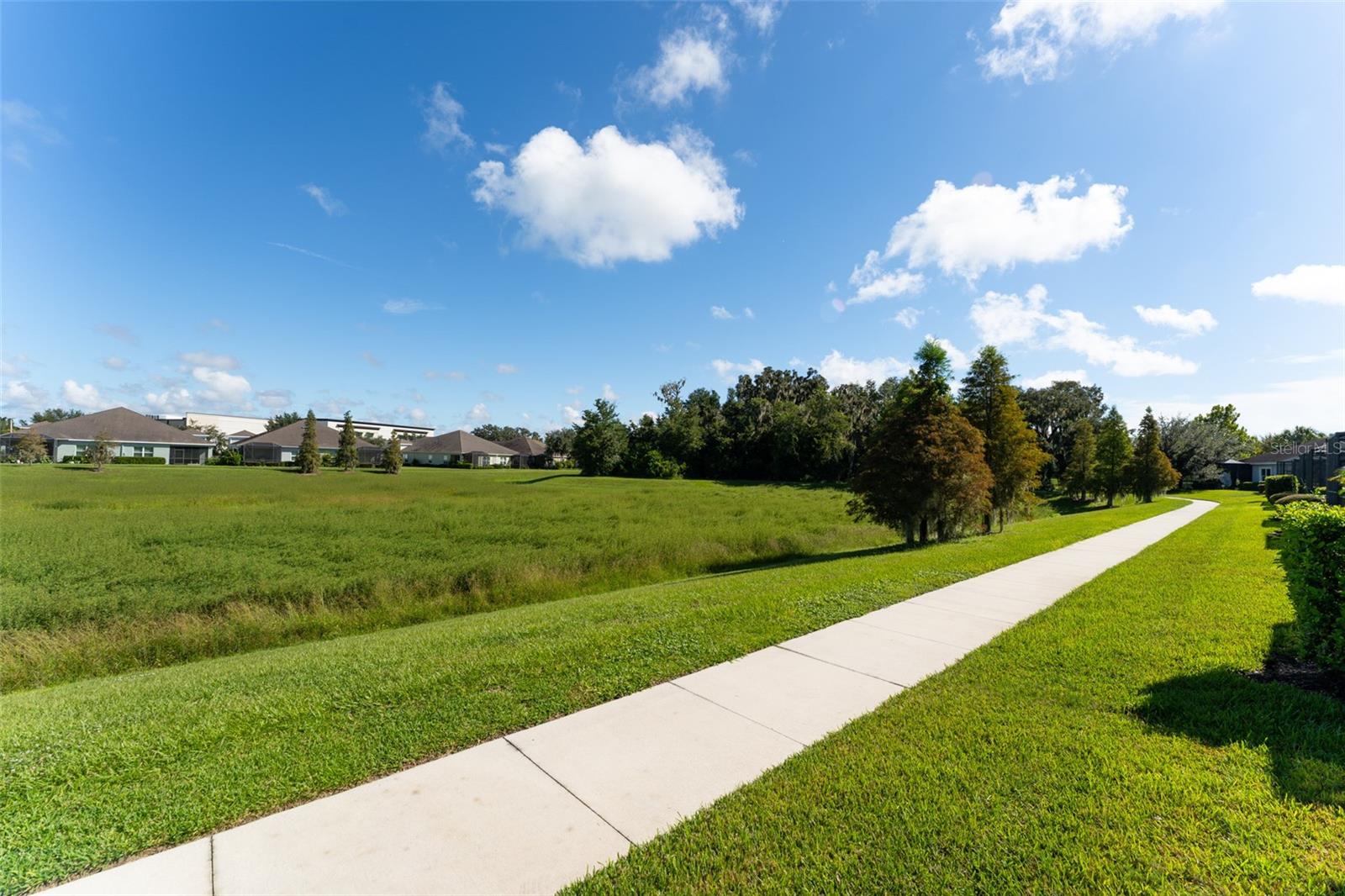 13533 CIRCA CROSSING DR — photo 35