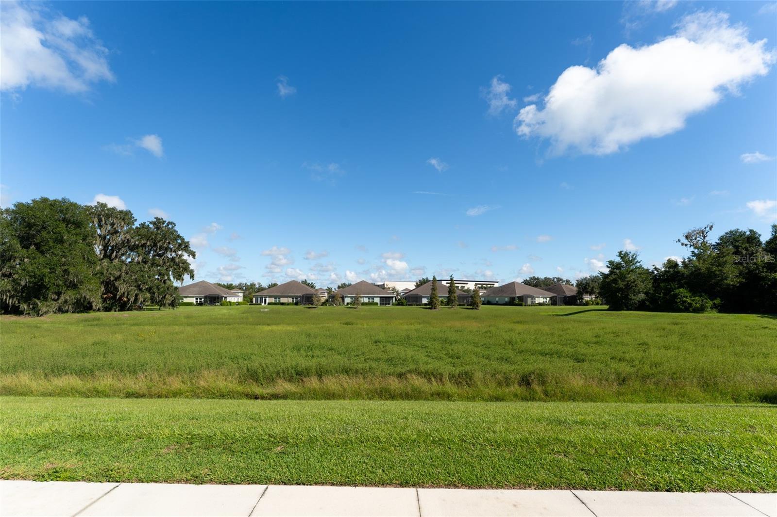 13533 CIRCA CROSSING DR — photo 34