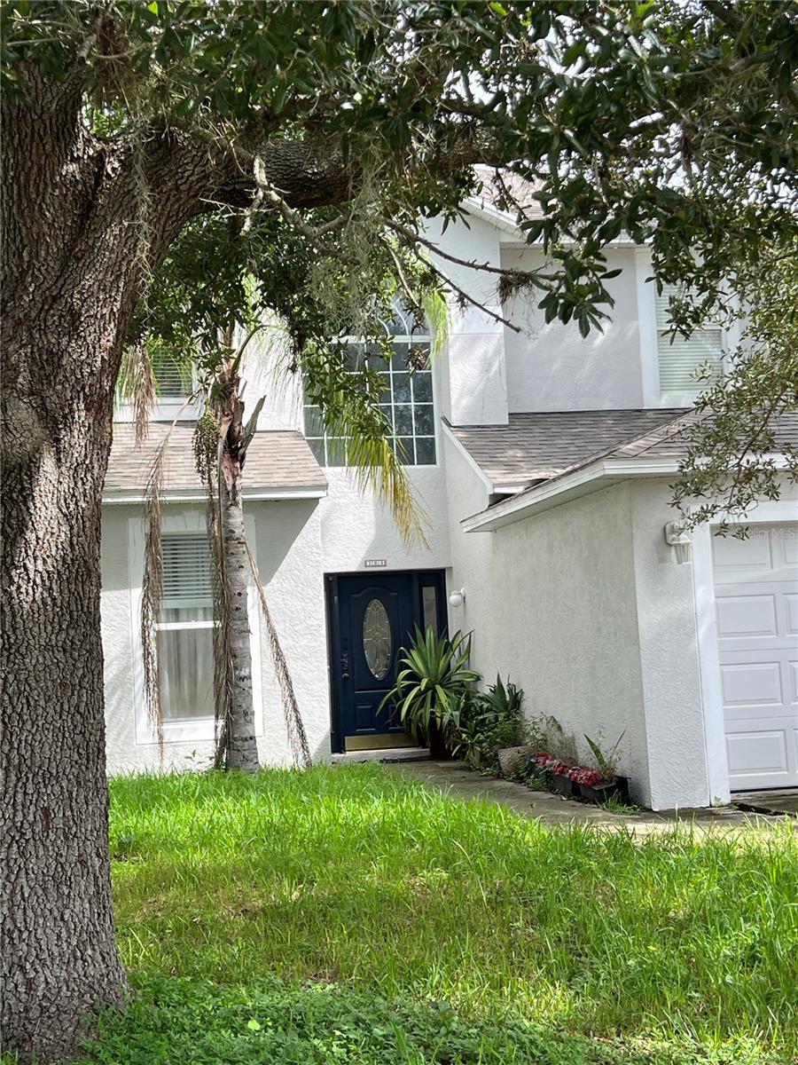 31803 LOCH ALINE DR — photo 3