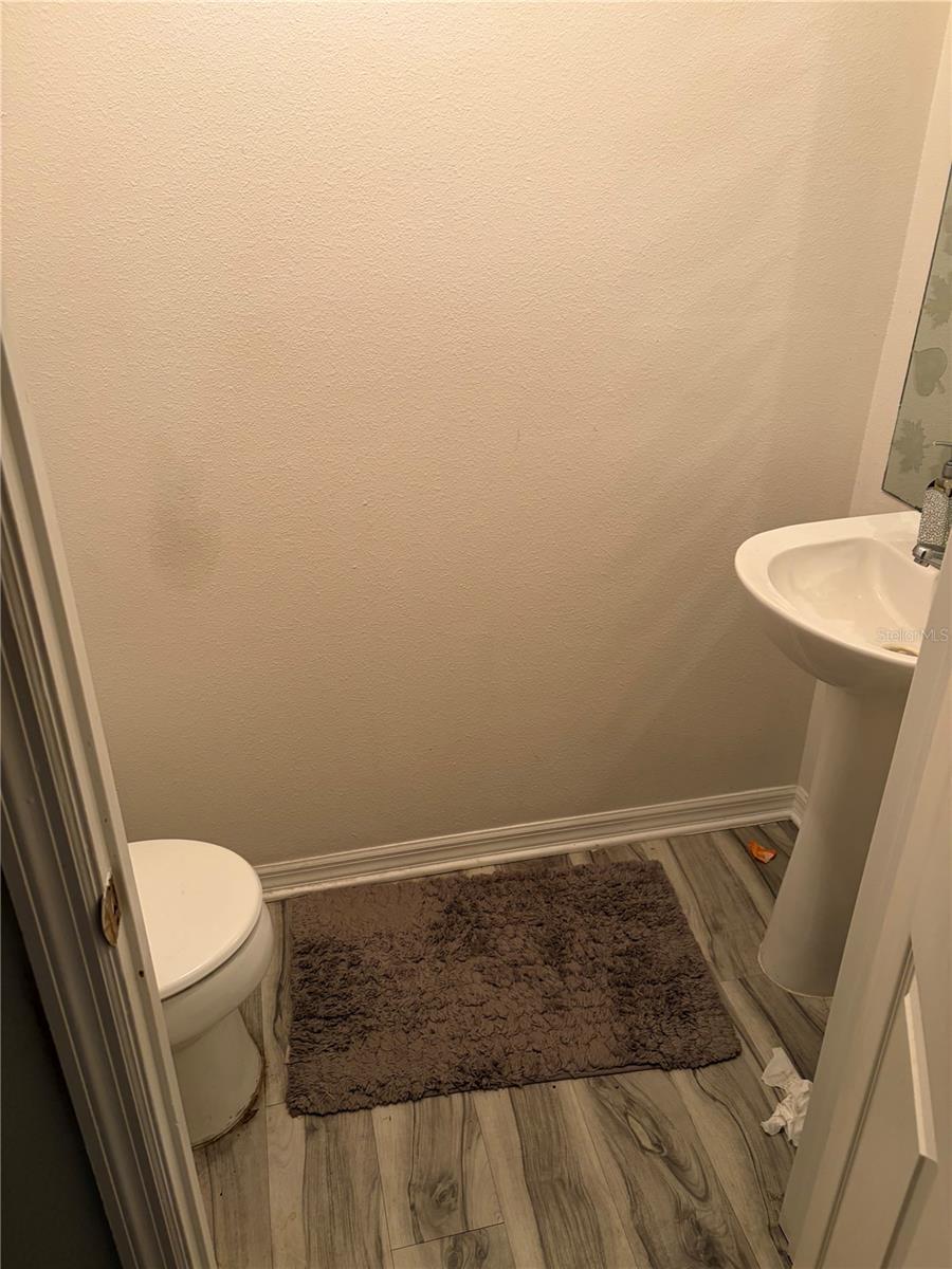31803 LOCH ALINE DR — photo 14