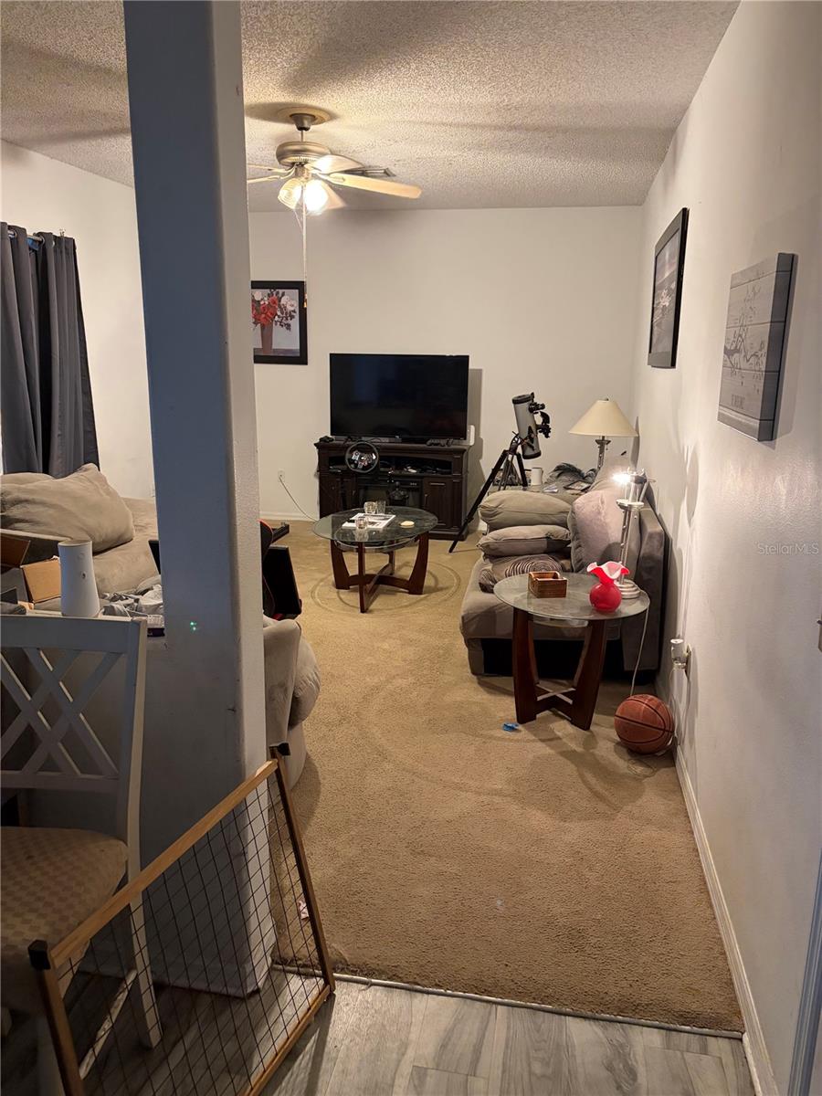 31803 LOCH ALINE DR — photo 9