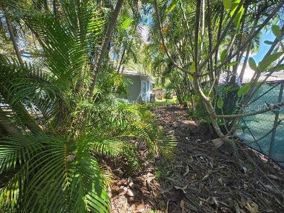324 GOLDEN SANDS DR — photo 19