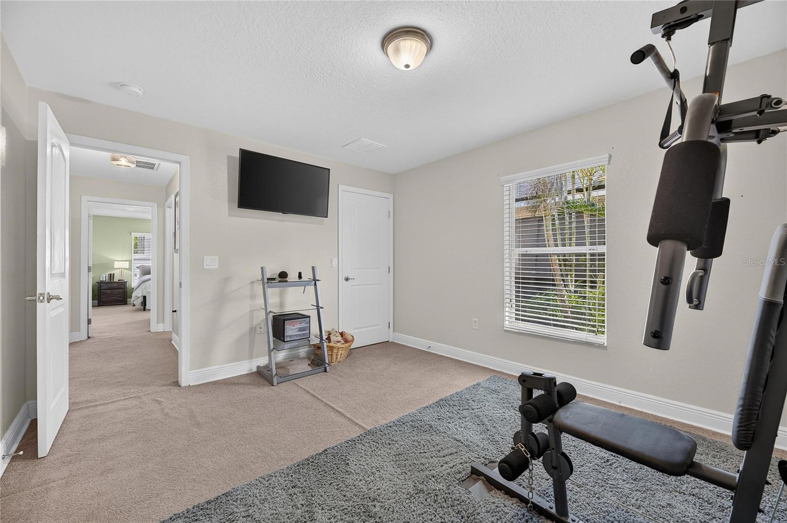 10747 STANDING STONE DR — photo 47