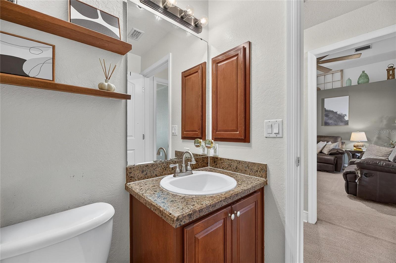 10747 STANDING STONE DR — photo 32