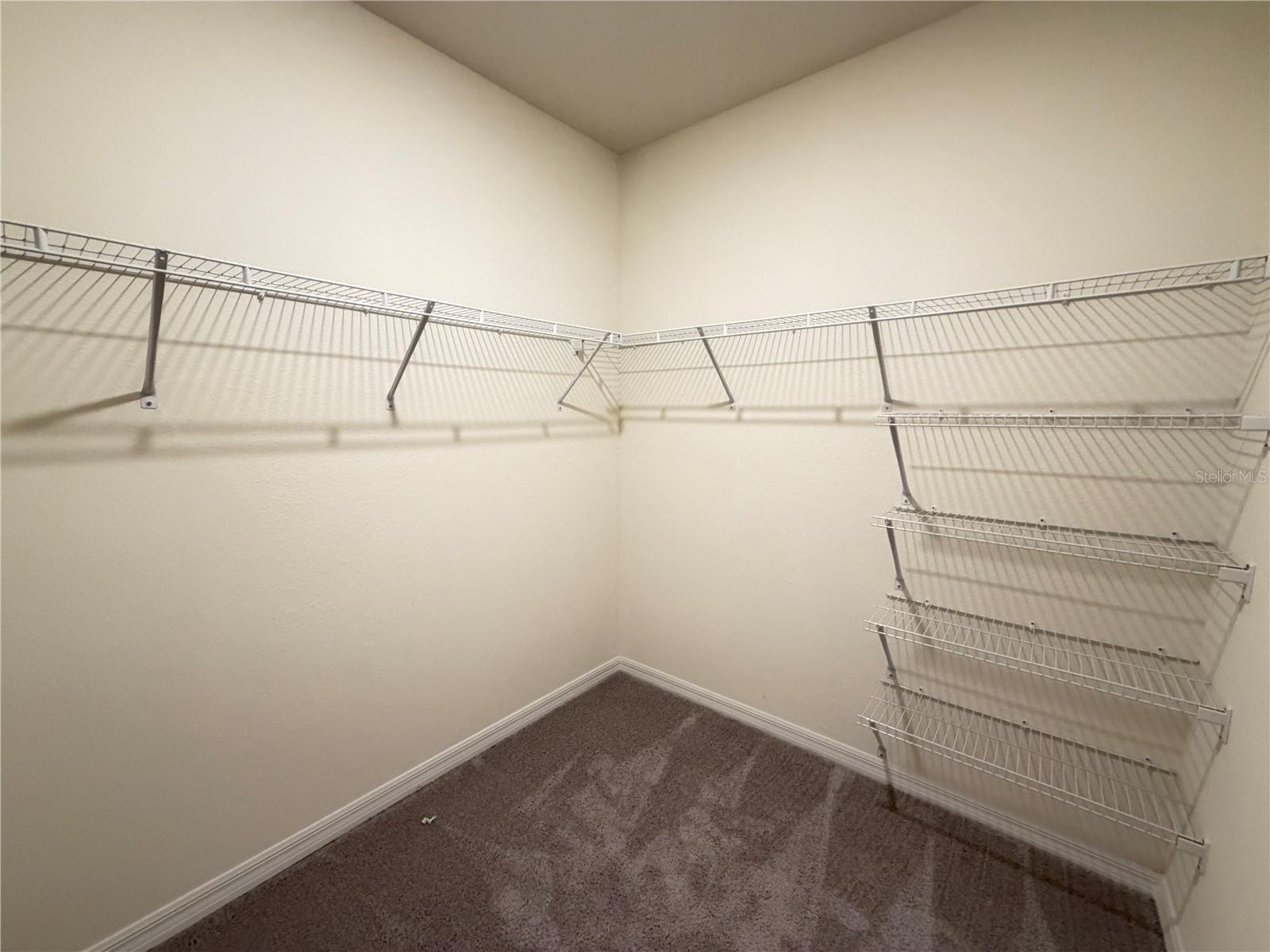 32107 CONCHSHELL SAIL ST — photo 24