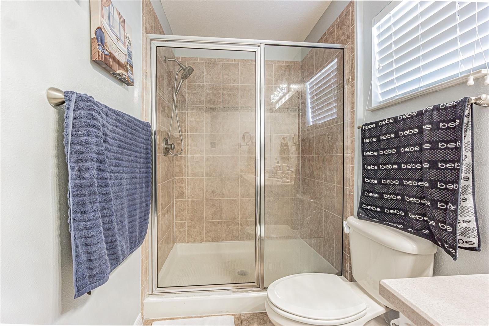 8514 BRUSHLEAF WAY — photo 24