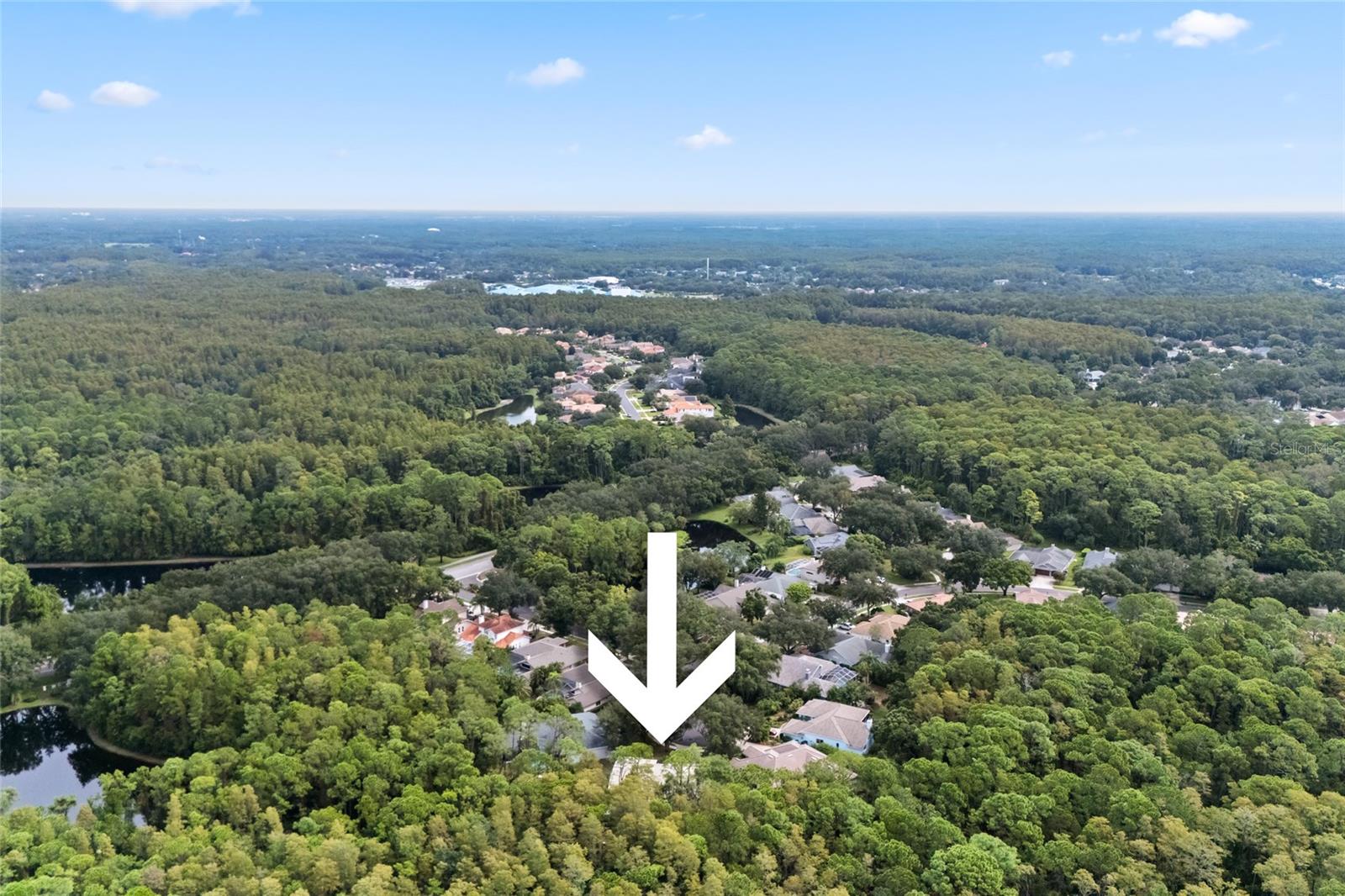 3951 BRIGHTSIDE LN — photo 49