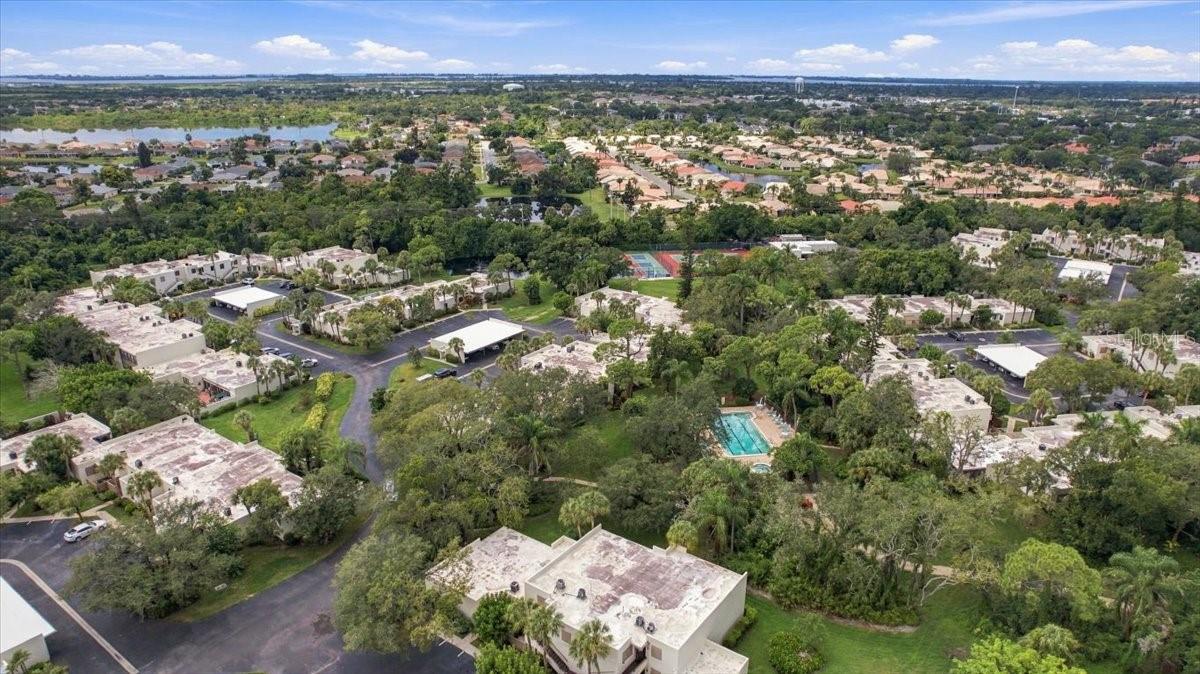 411 PALM TREE DR #411 — photo 35