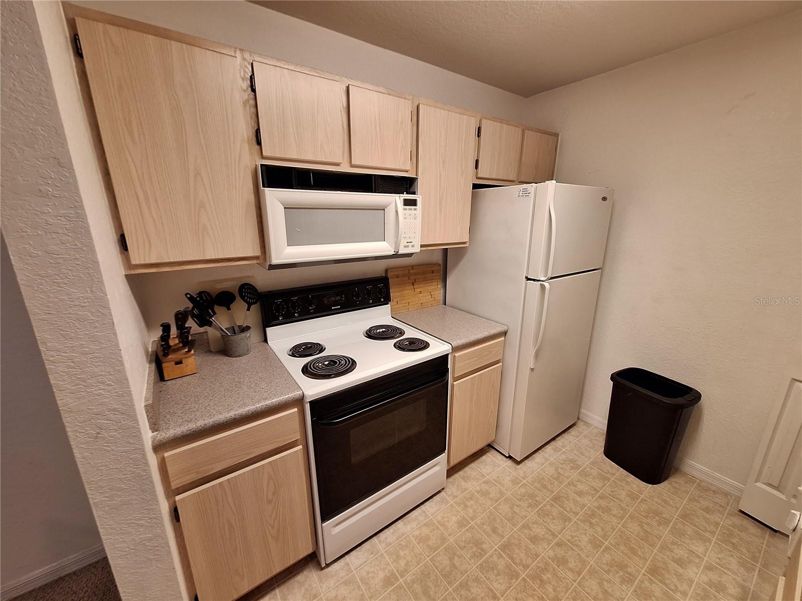 8809 MANOR LOOP #203 — photo 11
