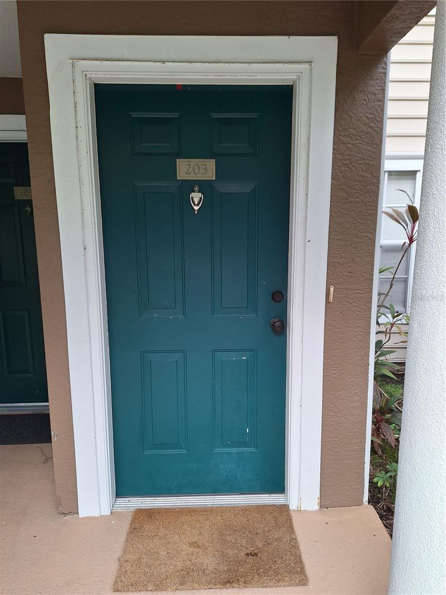8809 MANOR LOOP #203 — photo 3
