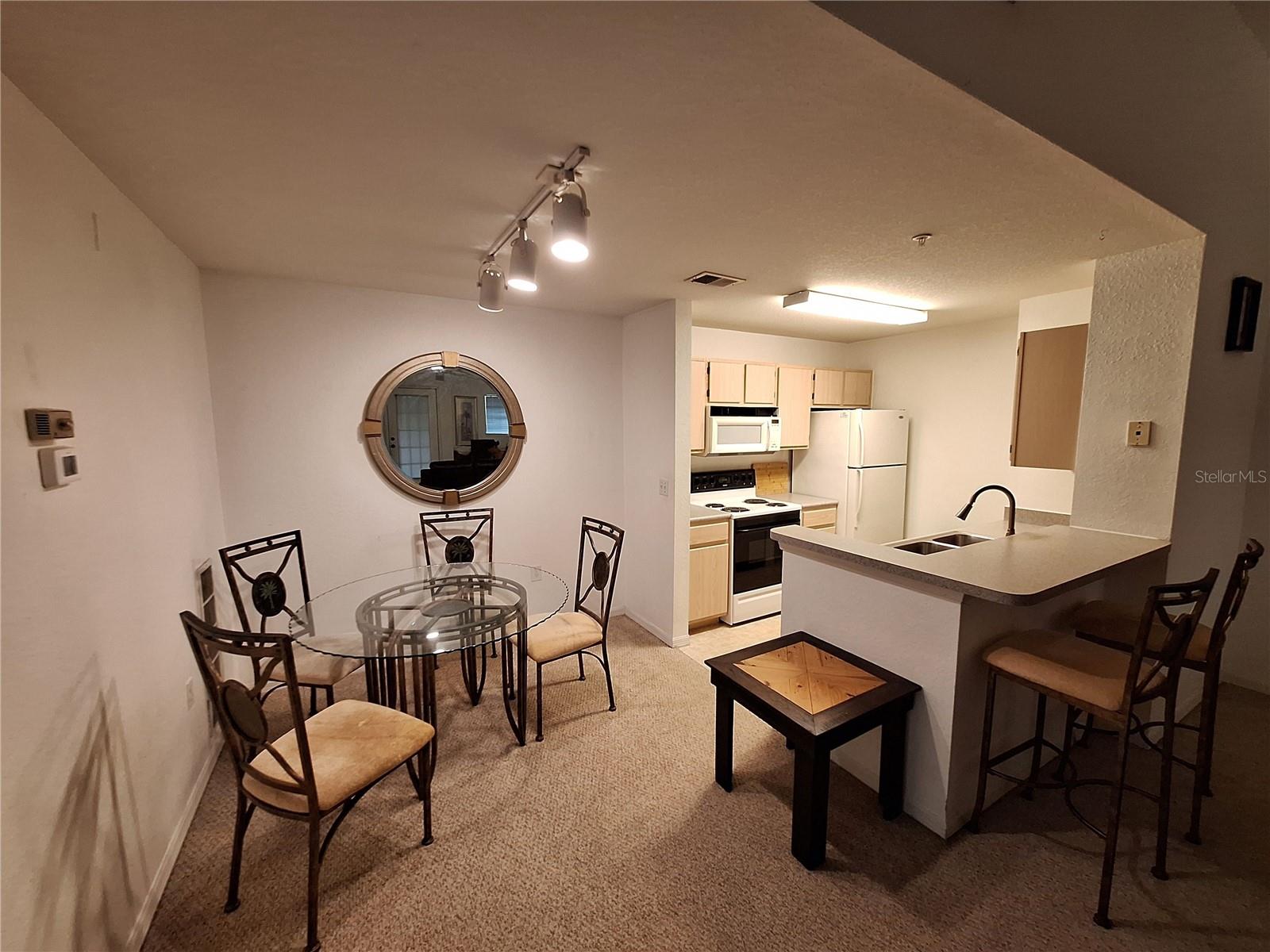8809 MANOR LOOP #203 — photo 9