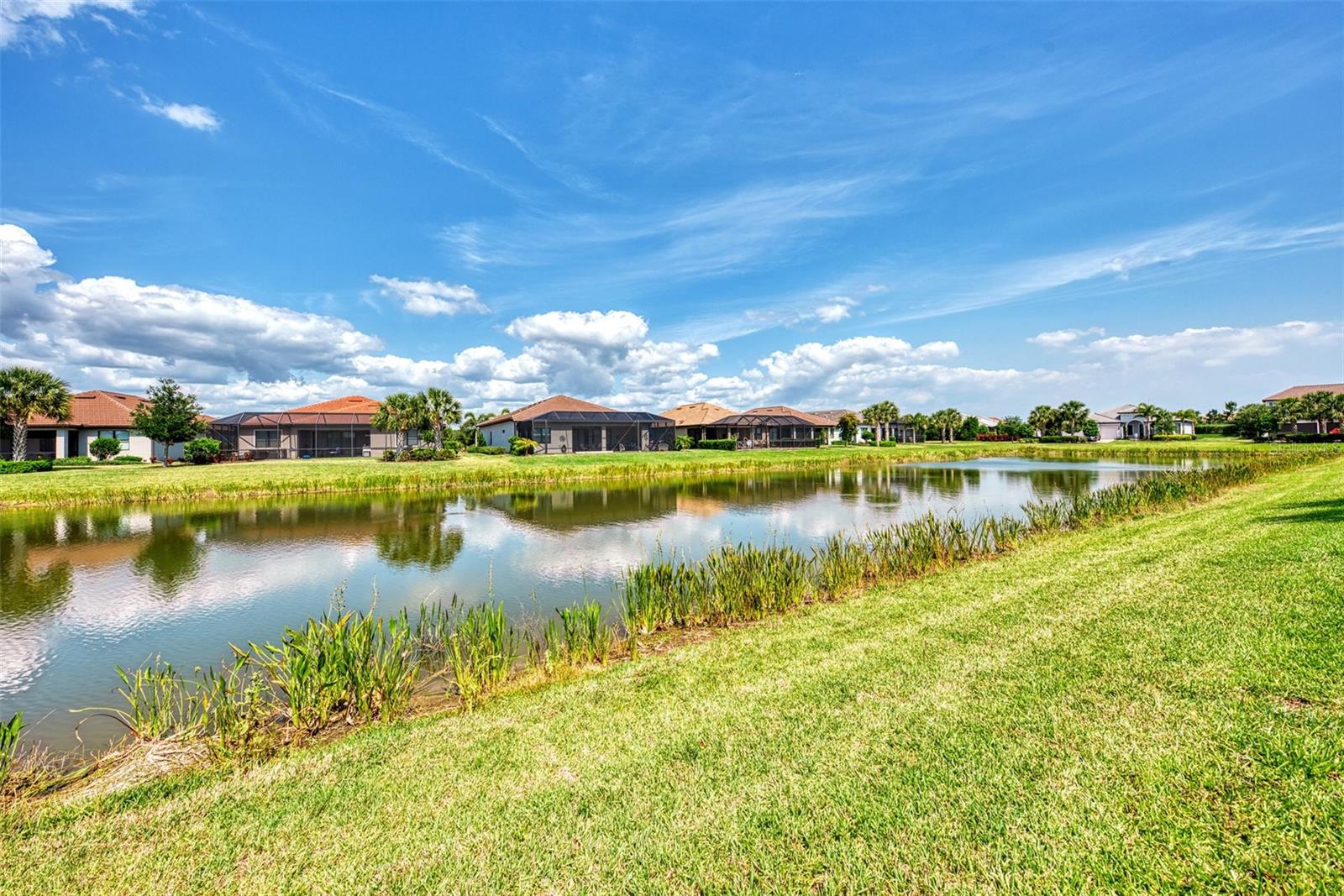 12432 GOLDEN SAGE DR — photo 93