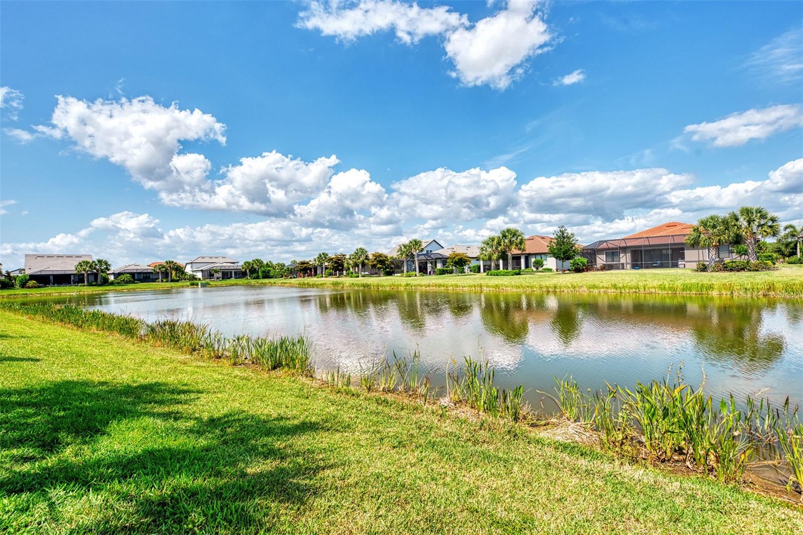 12432 GOLDEN SAGE DR — photo 91