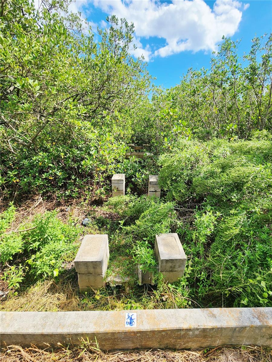 3825 SHORE BLVD — photo 13