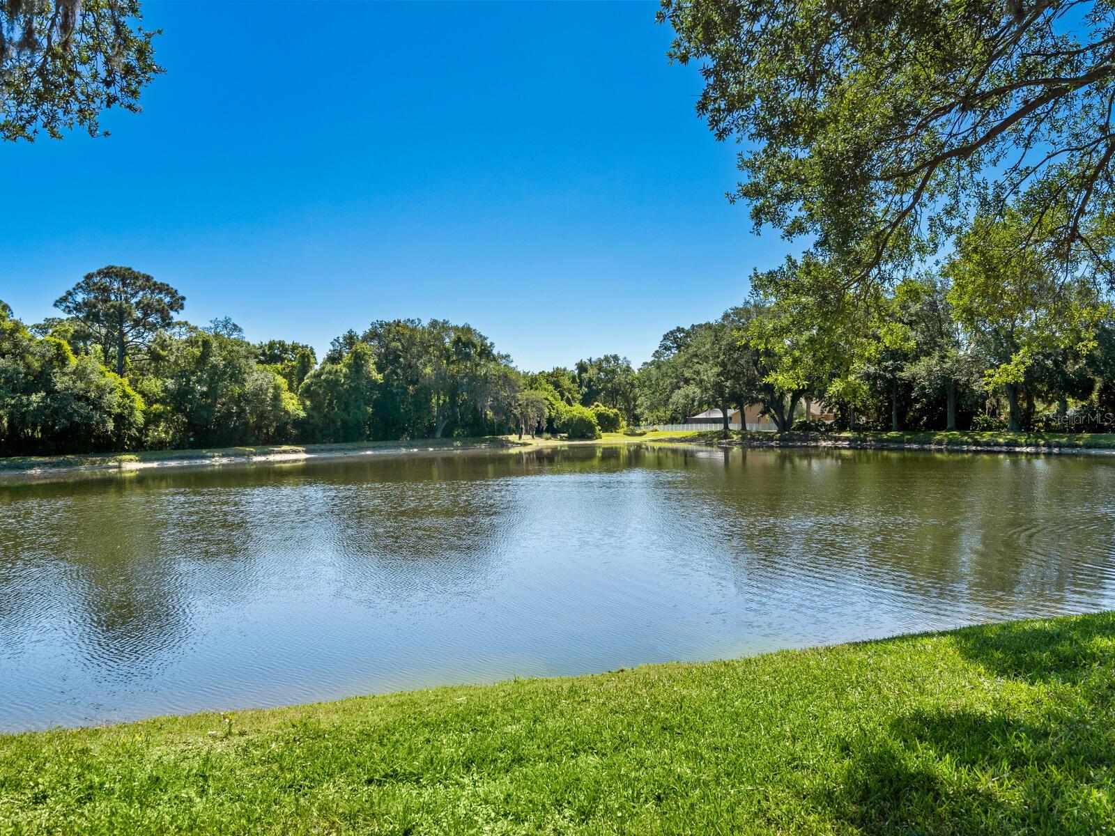 4374 MIRABELLA CIR — photo 48