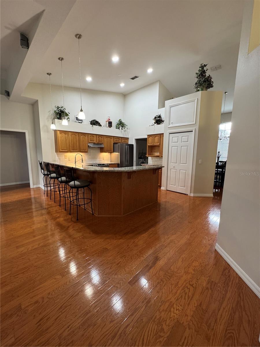 12306 JOAVAJIN RD — photo 49