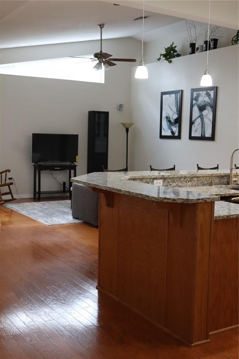 12306 JOAVAJIN RD — photo 47