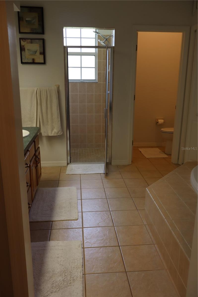 12306 JOAVAJIN RD — photo 22