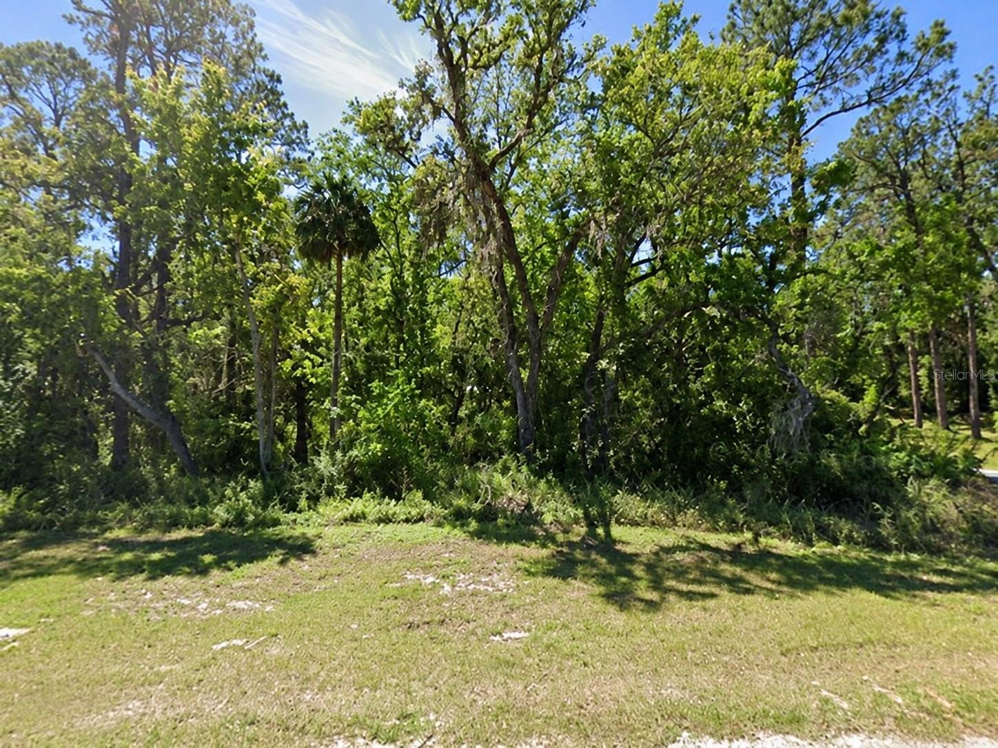 LITHIA PINECREST RD — photo 8