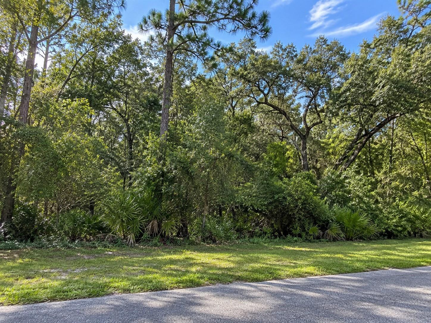 LITHIA PINECREST RD — photo 2