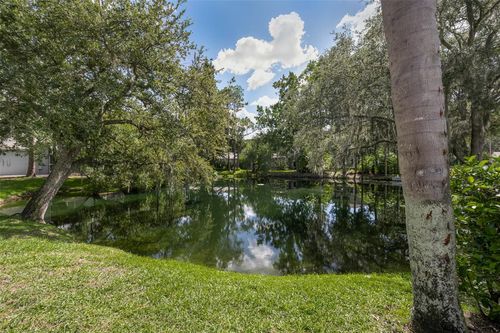 3559 SYLVAN EDGE DR — photo 34