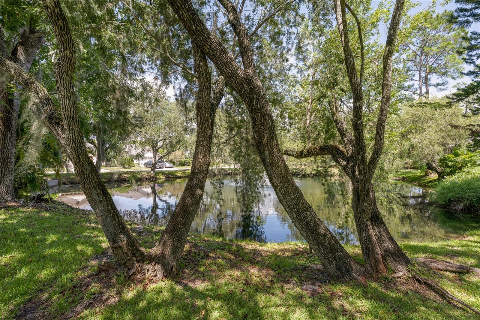 3559 SYLVAN EDGE DR — photo 40