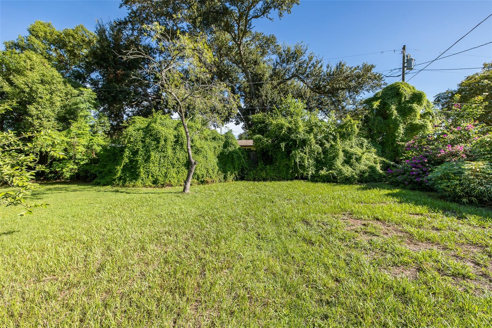 1606 FRUITWOOD DR — photo 12