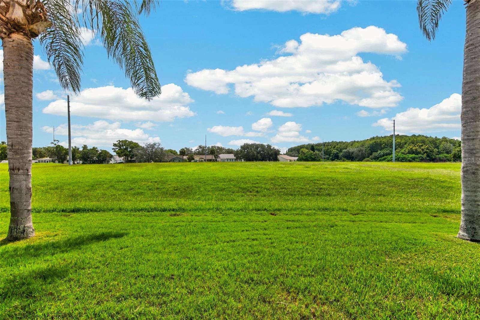 10707 FALLEN LEAF LN — photo 47