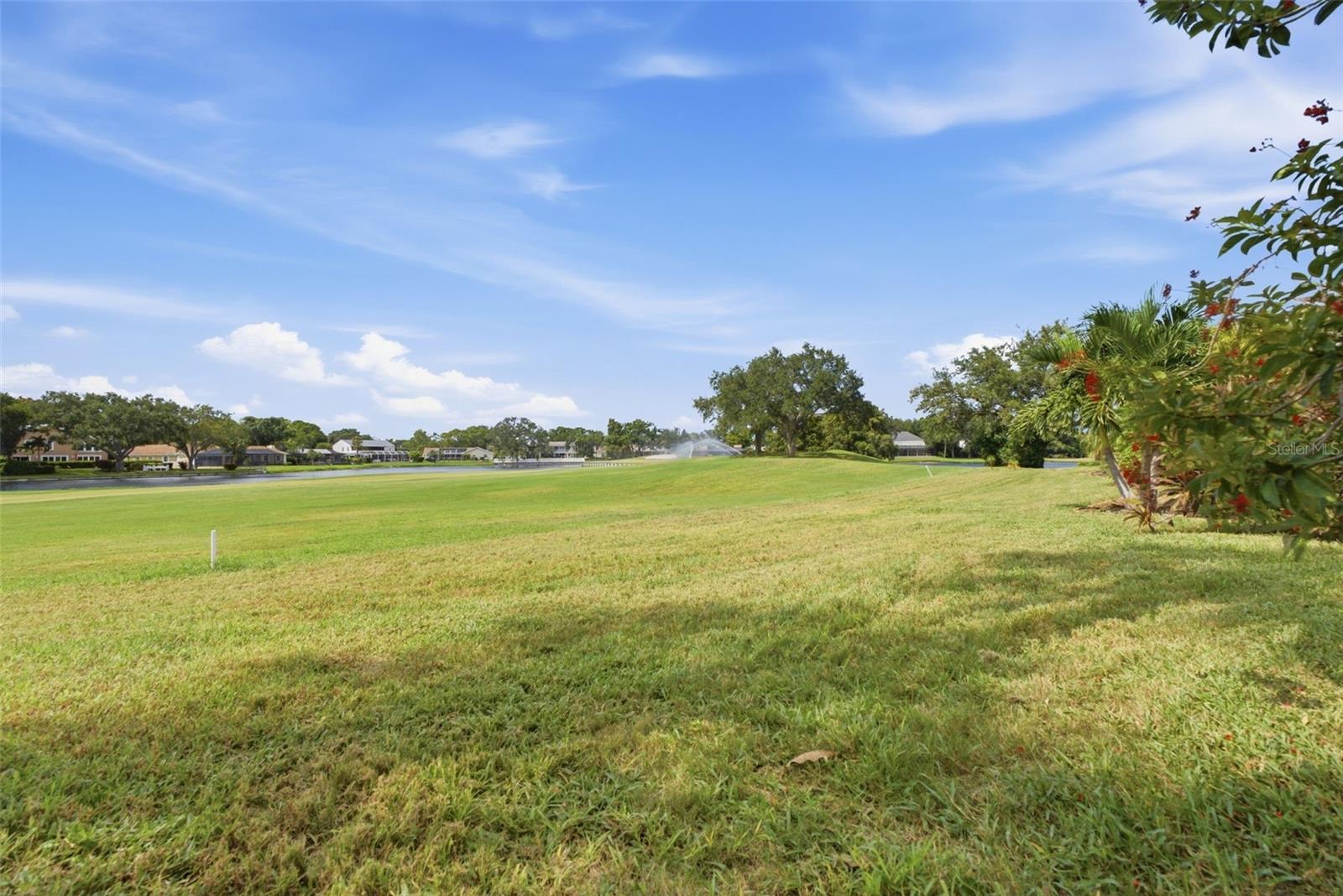 13956 LAKE POINT DR — photo 13