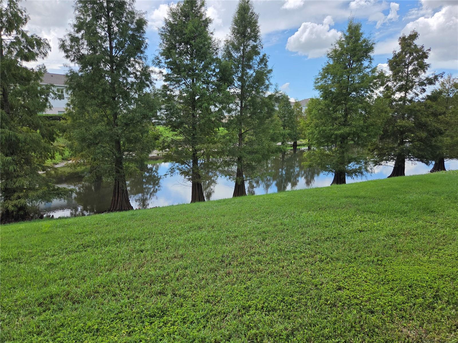 9863 ASHBURN LAKE DR — photo 12