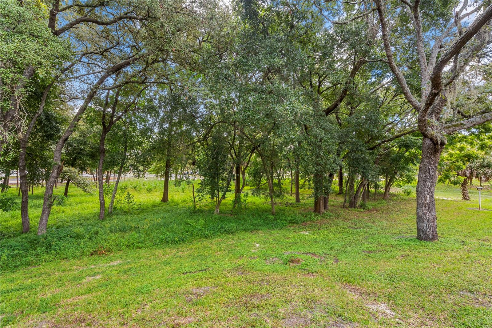 11732 ROLLING PINE LN — photo 40