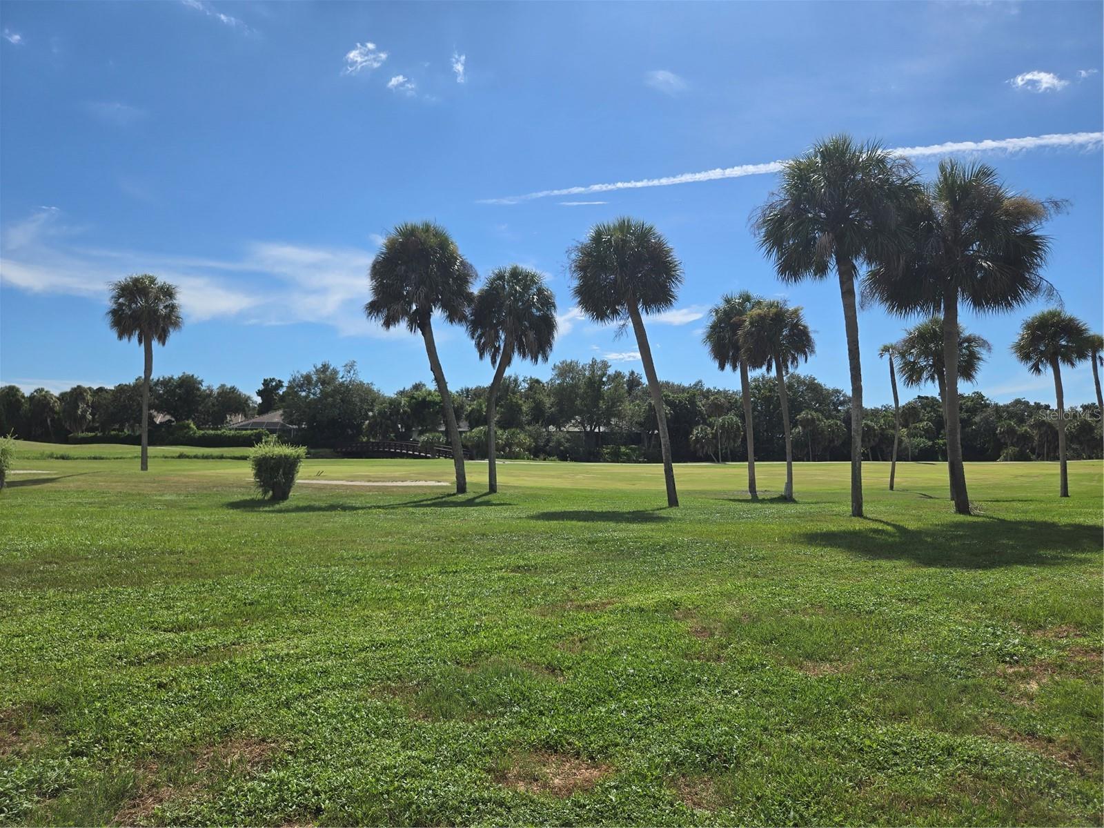 927 CAPRI ISLES BLVD #10 — photo 39