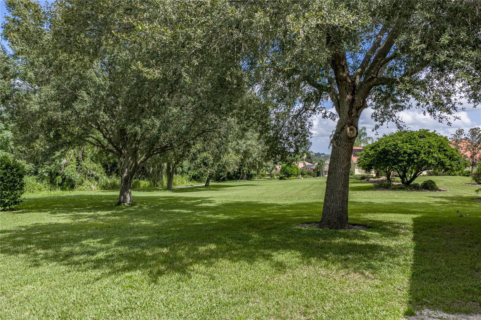 13353 CARNOUSTIE CIR — photo 88