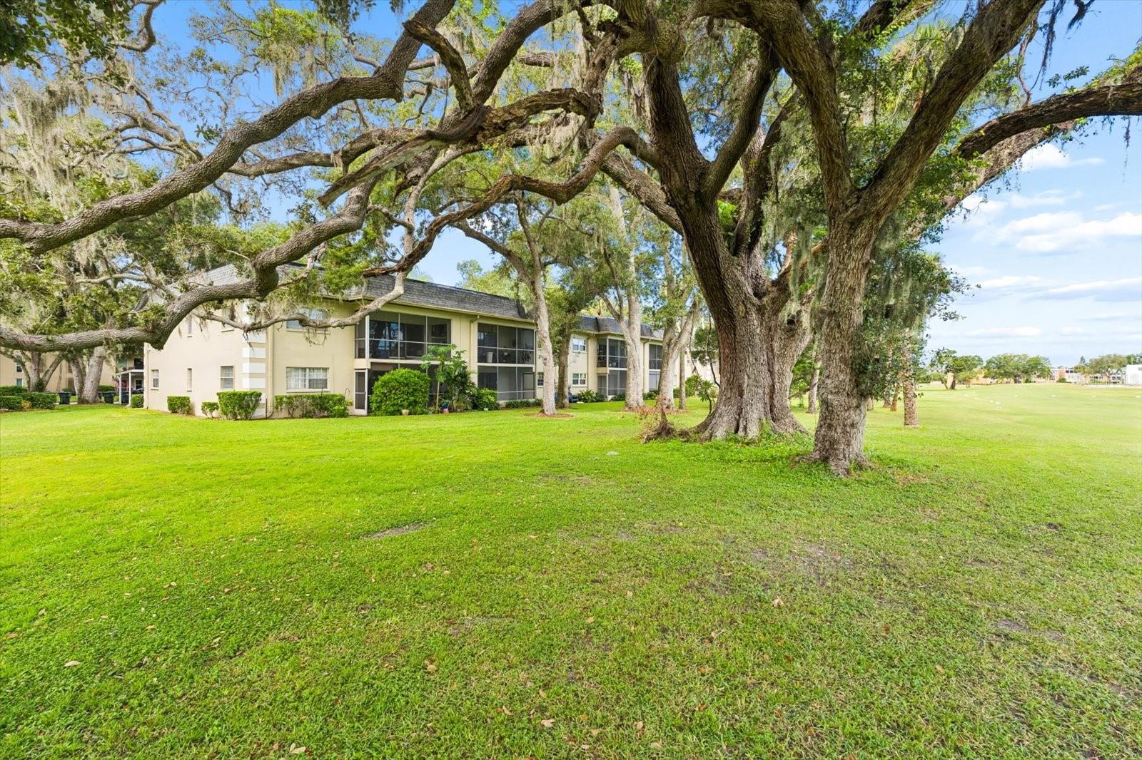 43 COUNTRY CLUB DR — photo 49