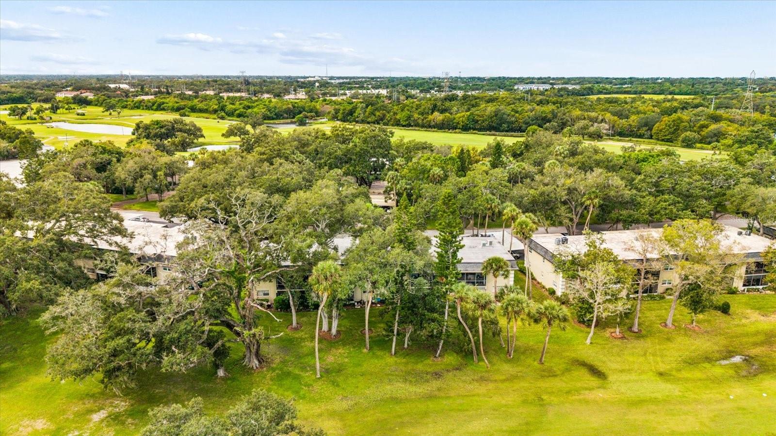 43 COUNTRY CLUB DR — photo 40