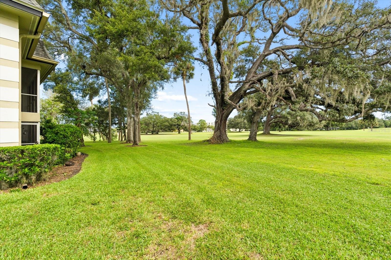 43 COUNTRY CLUB DR — photo 45