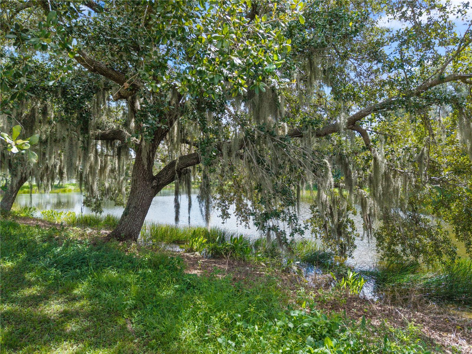 4008 KINGSFIELD DR — photo 47