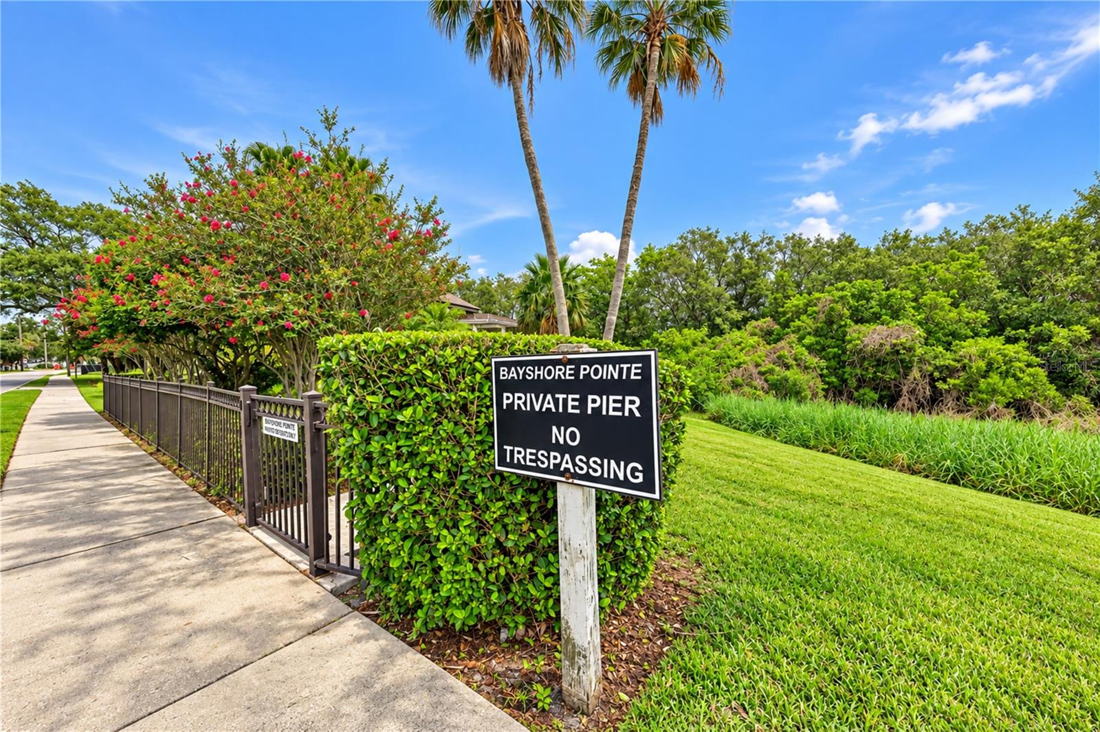 3018 BAYSHORE POINTE DR — photo 52