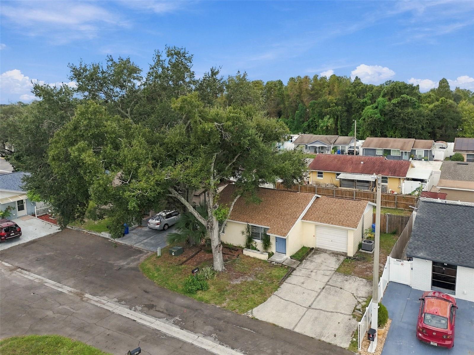 8406 WILLOW FOREST CT — photo 37