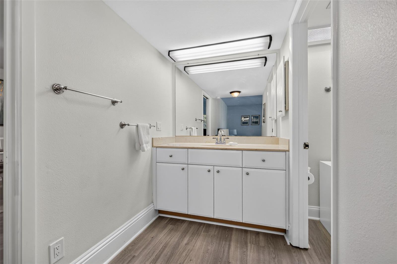 29129 BAY HOLLOW DR #3204/3206 — photo 18
