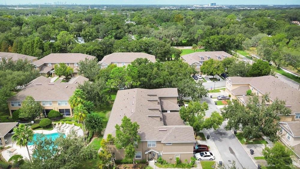 9811 FAN PALM WAY — photo 29