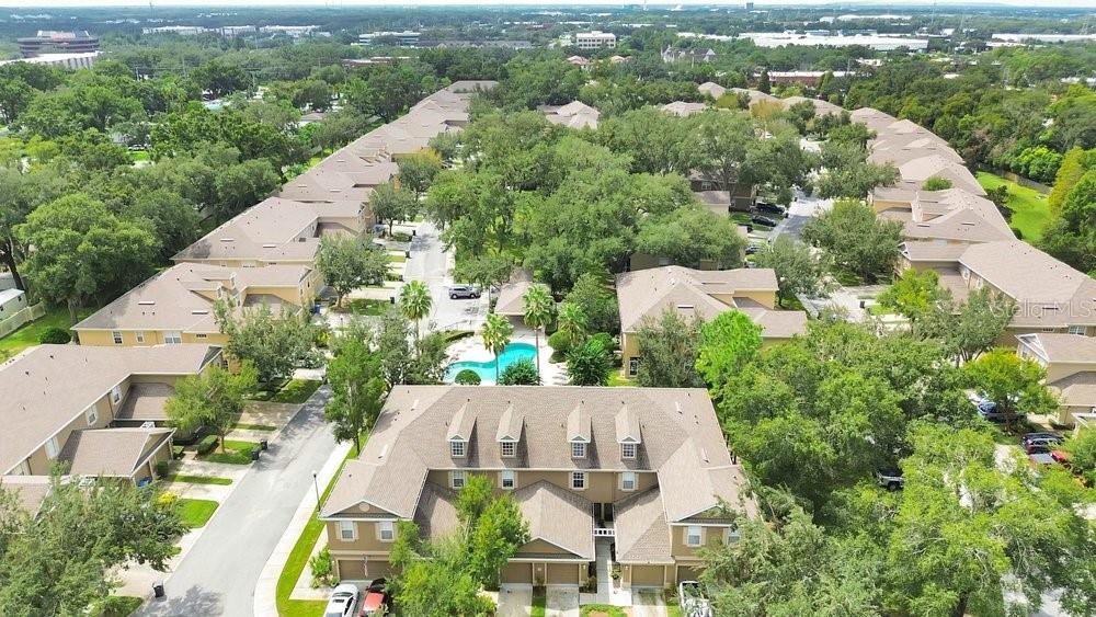 9811 FAN PALM WAY — photo 26