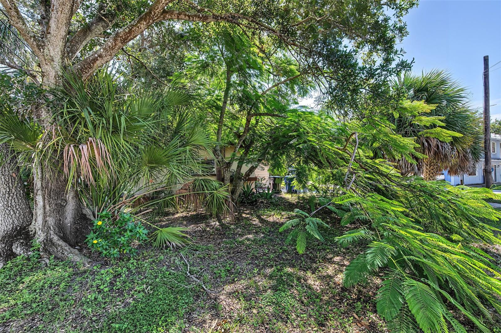 125 WERTZ DR — photo 28