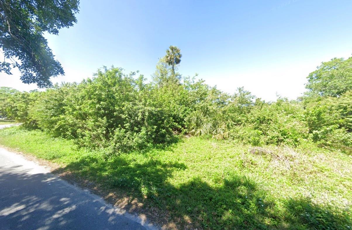 4545 NEEDLE PALM DR — photo 2