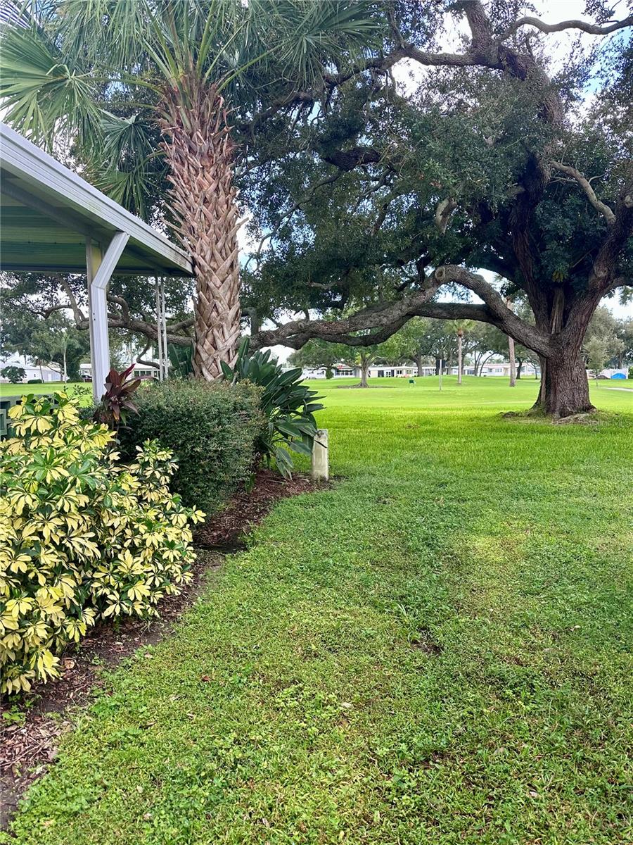1100 BELCHER RD S #417 — photo 3