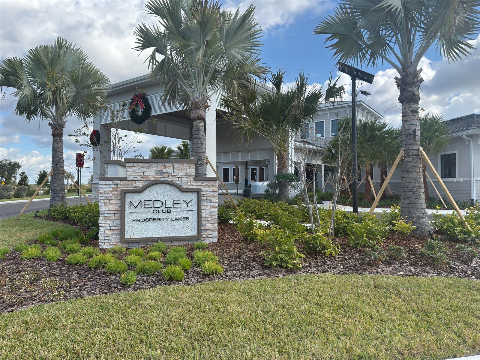 12220 VIOLET JASPER DR — photo 40