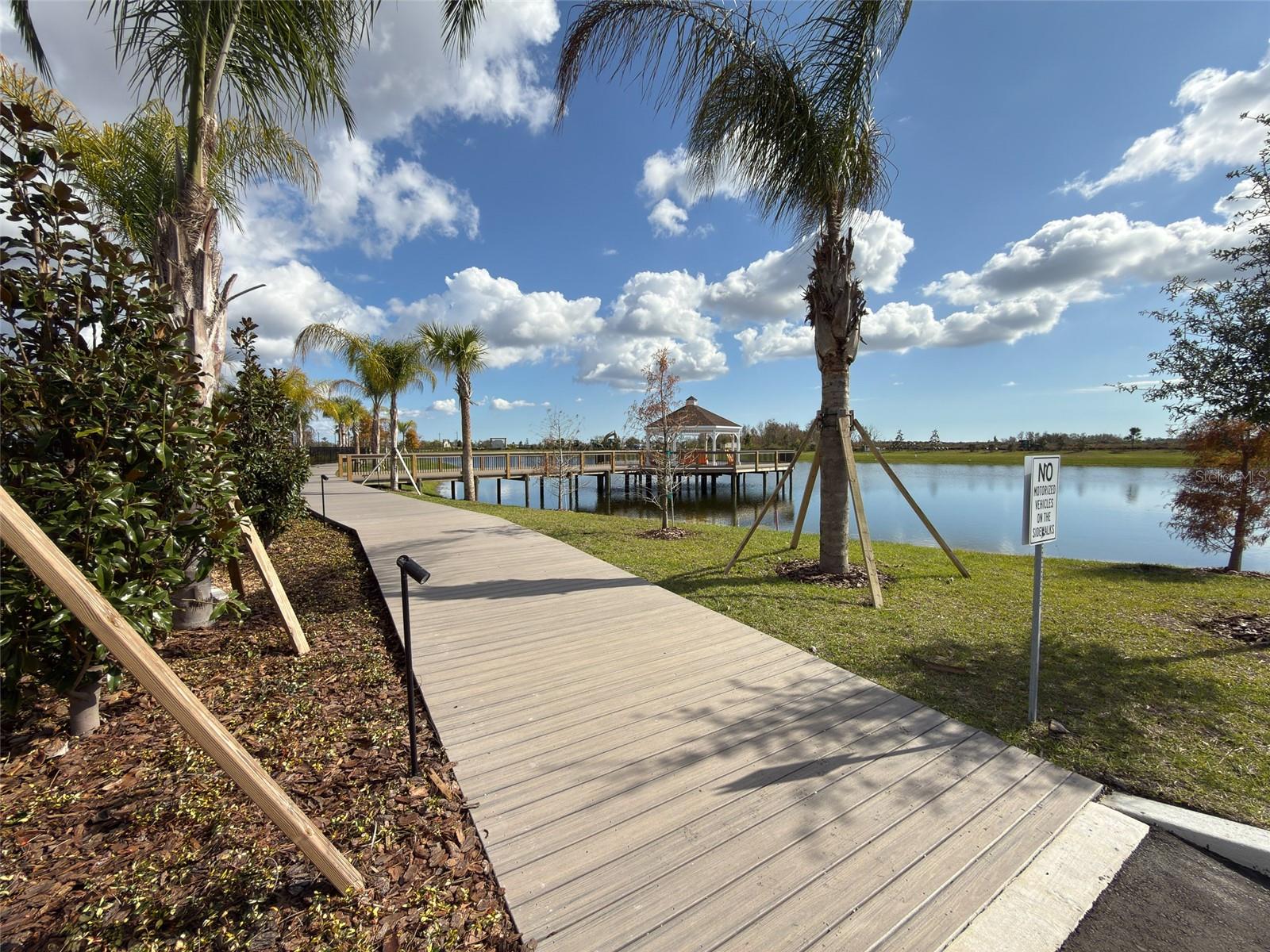 12220 VIOLET JASPER DR — photo 43